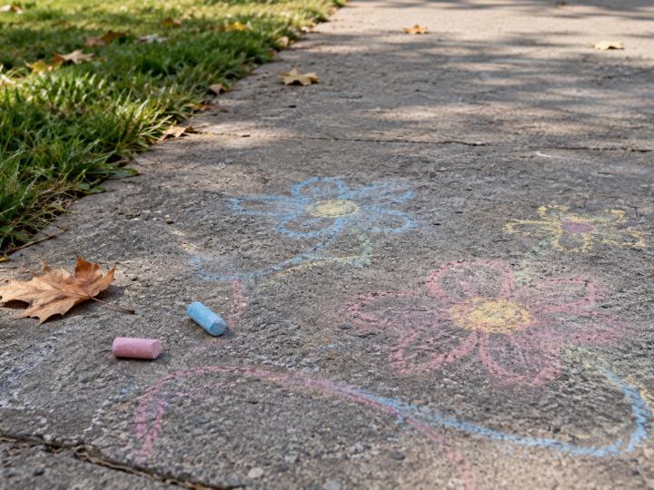 Des fleurs dessinées à la craie et des morceaux de craie sur une allée, près de l’herbe et de feuilles tombées.