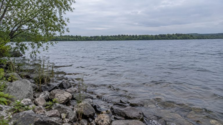 A quiet lakeshore with rippling water, smooth stones and overhanging willow branches.