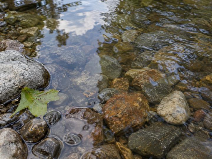 De l’eau peu profonde et limpide ondulant sur des pierres, près d’une feuille verte.